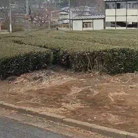 中間点（５区動画）①の画像