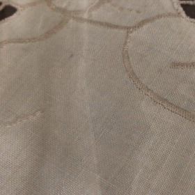 風の盆の思い出の画像