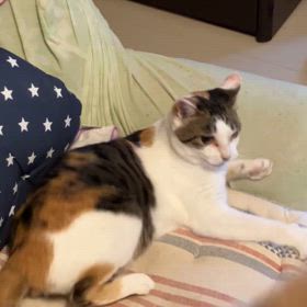 撮ったよーの画像