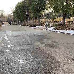 リレー選考会（女子）ゴール付近①の画像