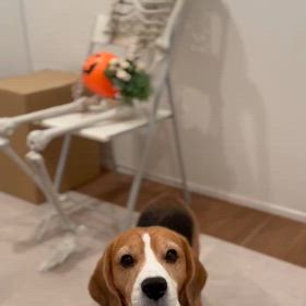 happy halloweeeeeeenの画像