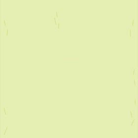 DOGXDOG ココちゃんの画像