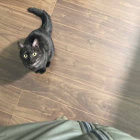 １２／２６の画像