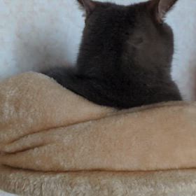 ☆くわばらくわばら☆の画像