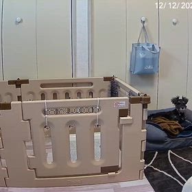 あらまーの画像