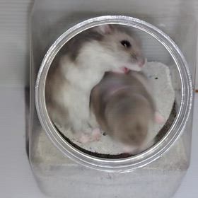 個人情報？の画像