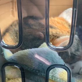 残しておきたくての画像