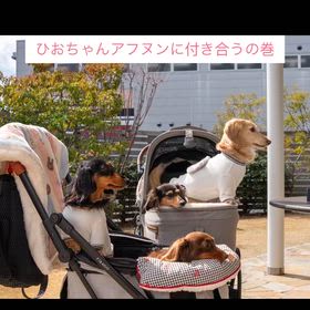 カフェ活事情の画像