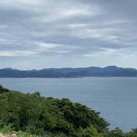 2024/11/20の画像