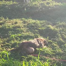 ”2025/08/18”の画像