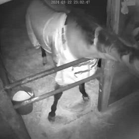 ママの手（前編）の画像