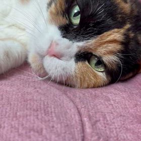 早く寝なきゃ〜の画像