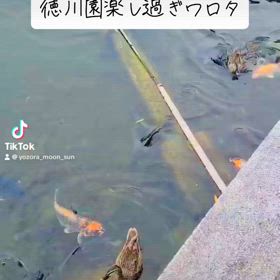 徳川園いきたりのかまたりの画像