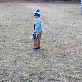 婆馬鹿シリーズの画像