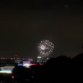 わんこと一緒に花火大会の画像