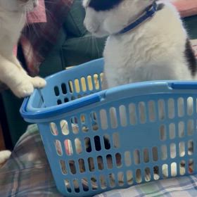 不覚にもの画像