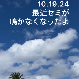 一緒に、ココロリセット、しませんか？の画像