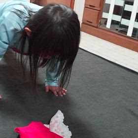 φ腕たてふせ が出来るらしい、倒立も？ (5歳半頃  年中/年長春)の画像