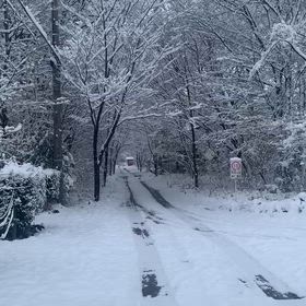 突然の大雪の画像