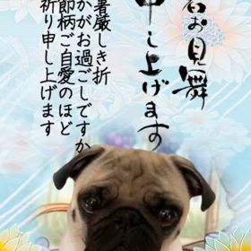 パグ 思わず笑顔になった『紙粘土のパグちゃん』 | パグ 公主“こんじゅ