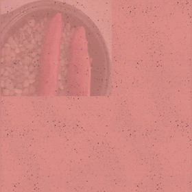 ひな祭りと焼き芋の画像