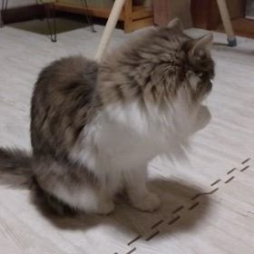 晴天が好きの画像