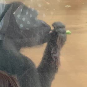 世界のリーダーの画像