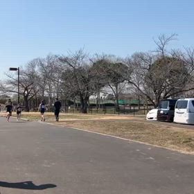 女子100mレース前アップ④の画像