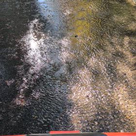 森野熊三(｡•̀ᴗ-)✧の画像