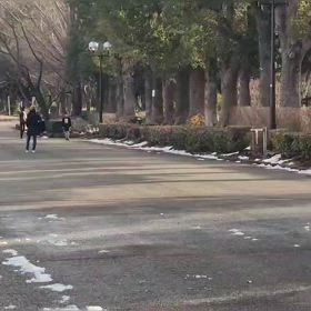 リレー選考会（男子）ゴール付近⑬の画像