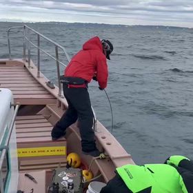 大変！！大変！！！の画像