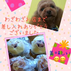 DOGXDOG  いただきますの画像