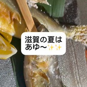 あゆの季節の画像