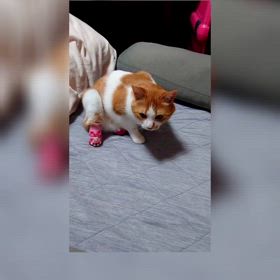 再度、忘れてたこの場所・・・の画像