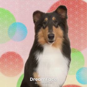 流行りにノってみたの画像