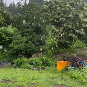 暑いんだか　さぶいんだかʅ（◞‿◟）ʃの画像