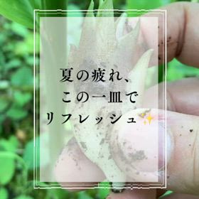 【夏の疲れ、この一皿でリフレッシュ！】の画像