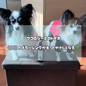 フコロジーミストデオ についてのレビューの画像