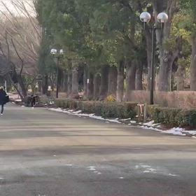 リレー選考会（男子）ゴール付近⑥の画像