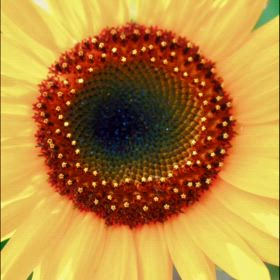 眠たい時は、、、♡の画像