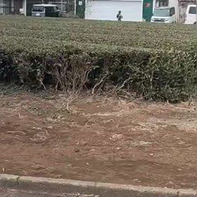 中間点（４区動画）①の画像