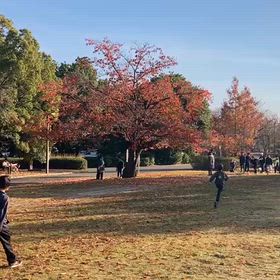 11/24 基本動作⑤の画像