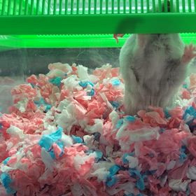 闘病？は続くの画像