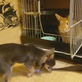 初めてのお友達の画像