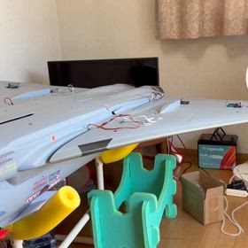 2025/7/29 ユーロ君の画像