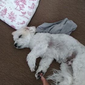 テレビが面白くないの画像