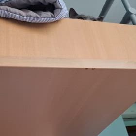 ナニカが起こっているの画像