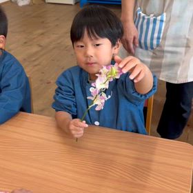 １２月２４日あすなろ保育園さんにて花育の画像