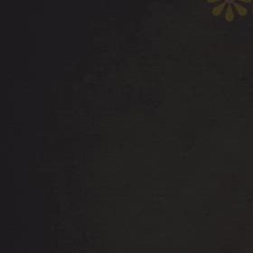 DOGXDOG む  ぎくんの画像