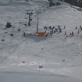 青森市長杯の画像